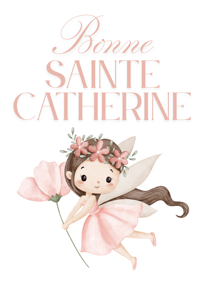 Lot 10 cartes de St Catherine