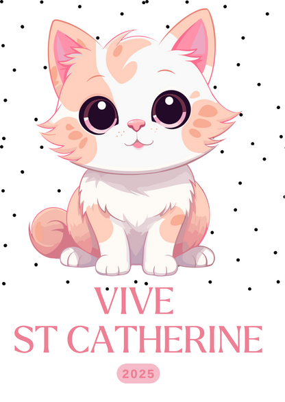 Lot 10 cartes de St Catherine