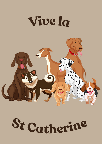 Lot 10 cartes de St Catherine